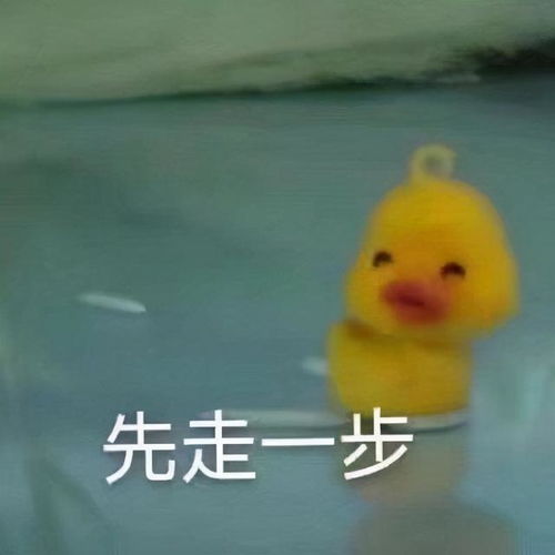 款款表情包鸭鸭
