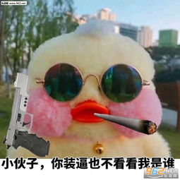 我作业写完了表情包模仿