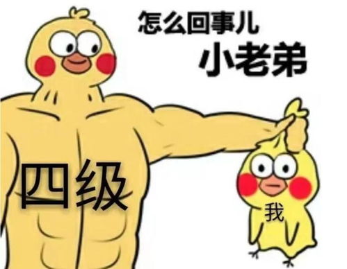  四级425分低空飞过,六级只能考300原来四六级差距如此之大