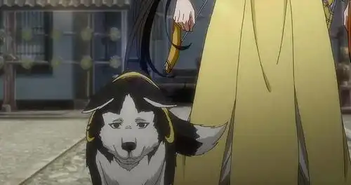  魔道祖师众人养的宠物都有所寓意,魏无羡的可苦了,蓝湛太甜了