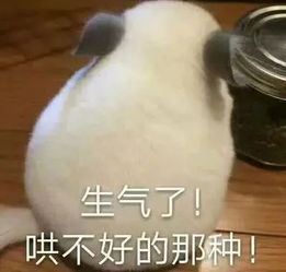  做安防工程,一个看脸的行业