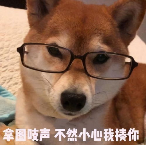  拥有这些表情包,才不会把天聊死
