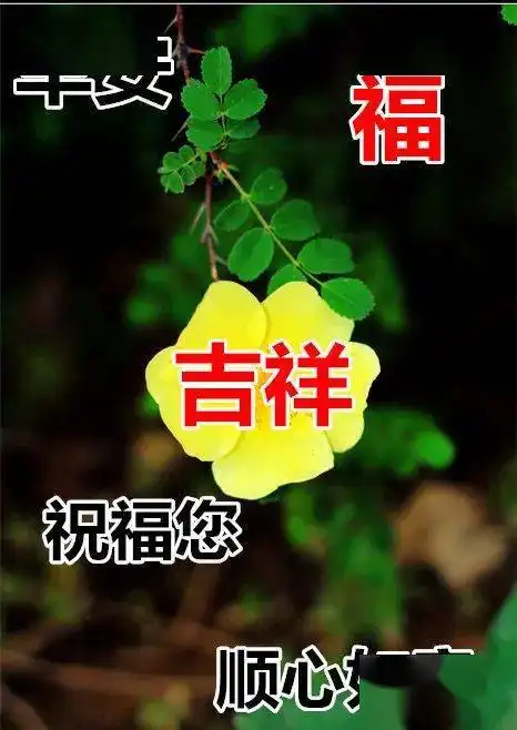  问候老同学的早上好表情包,送上一杯咖啡,温暖你的心
