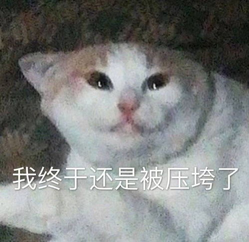  真的感觉我的快乐停在2019了