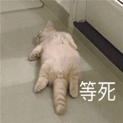  很实用的斗图沙雕表情精选合集全网超级火的爆笑表情大全