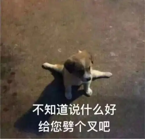 看过来图片表情包瑞州府