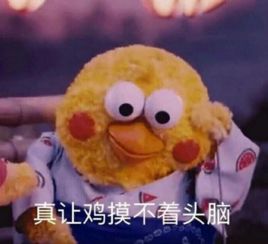  poinko鹦鹉兄弟在中国突然火了是怎么回事