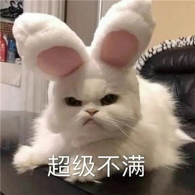  实用的微信超可爱的表情精选超萌超热门的qq聊天表情