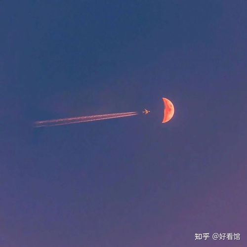  简单头像微信大方简单头像小图案简约头像干净高清微信头像简约干净简单的头像干净文艺极简头像简单头像简约男人专用头像图片qq头像简约创意图片简约头像小清新