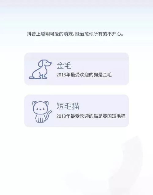  抖音2018大数据发布,最火的城市果然还是她