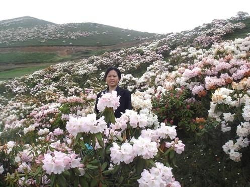  索玛花波洛景区