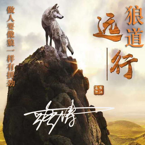  九月你的微信头像该换了,四十五张高端大气特效签名头像,请查收