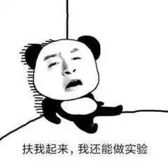  本科生都发7.3分sci了,我真的酸了......