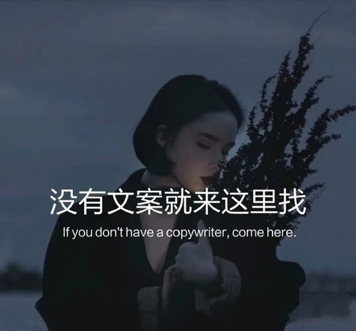  no.103关于温柔小众的高级文案