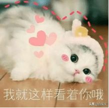  女性买保险看这篇文章,准没错2021年值得拥有