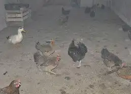  海军部队首次在西藏征集10名藏族女兵