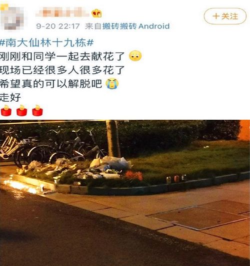  谁怂谁就是泰迪,南京女博士朋友圈留奇怪文字坠楼身亡,死因众说纷纭