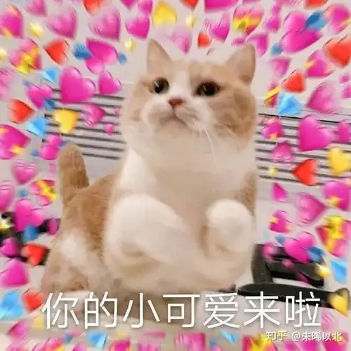  请问您听过最惊艳的三行情书是什么了