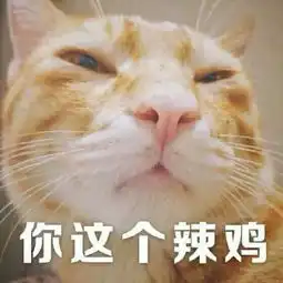  壁纸头像生活已经这么难了,人生需要欢乐so来一波表情包嘿嘿