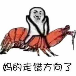  皮皮虾我们走是什么梗表情包爆红