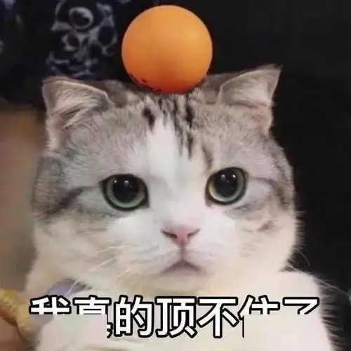  生孩子真的能治痛经吗
