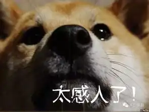  曼哈顿会员停车收费协议