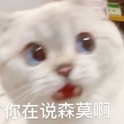  表情包我懂了,我就是你可有可无的网友