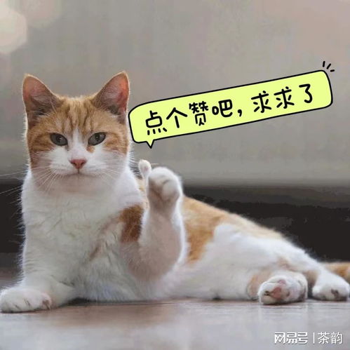  不同国家的饮茶习俗