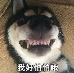  qq哈士奇表情包