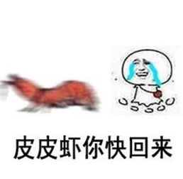  究竟皮皮虾我们走是什么梗海鲜界的小弟咋成了表情包界的扛把子图