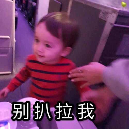  本特利表情包第八弹