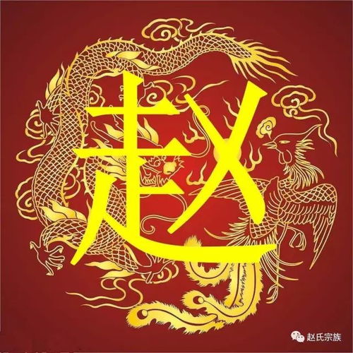  霸气赵字竟如此漂亮,赵氏宗亲赶紧收下