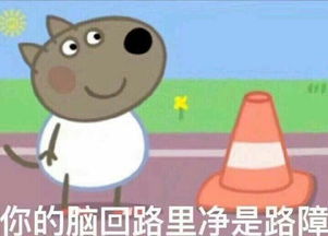  意大利瑞典交战史新仇,旧恨,那场难忘的22