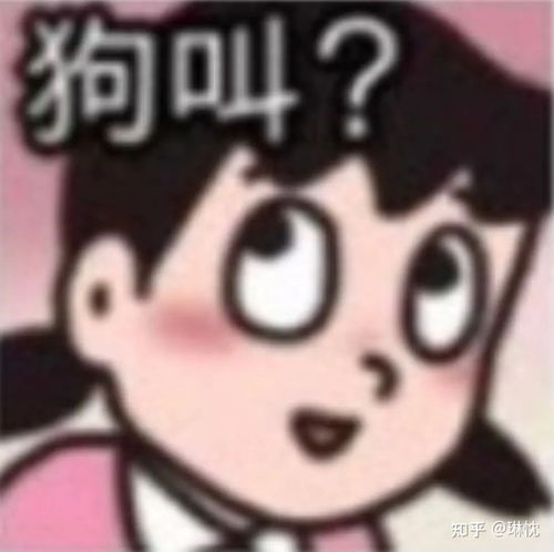  你有哪些关于王思聪和孙一宁事件的表情包和经典语录,可以分享一下吗