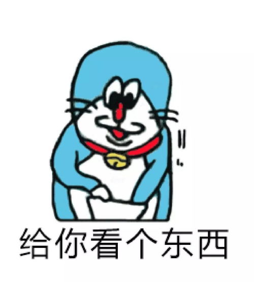  社会实践寒假大事件
