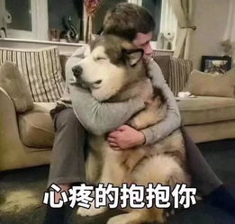  闺蜜经常深夜找我男友聊天,还说是为我好