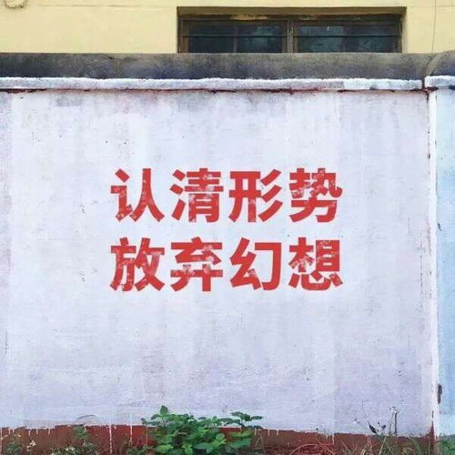  别有太多你以为