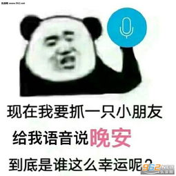  跟我有关系吗表情包图片你自己看着办吧表情包下载乐游网游戏下载