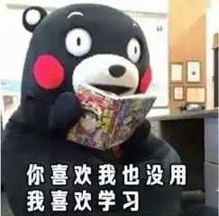  道与术,论学习与考试,和概率论的那些事