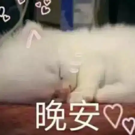  真实还原闺蜜聊天的沟通状态,姐妹我跟你讲,千万不要相信男人