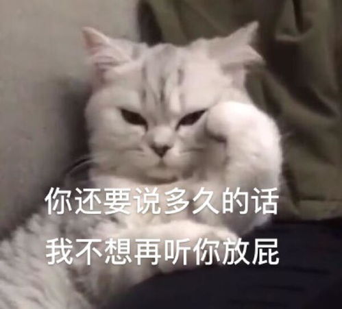  沙雕表情包l减肥算了吧