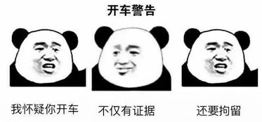  表情包丨今日份的快乐源泉