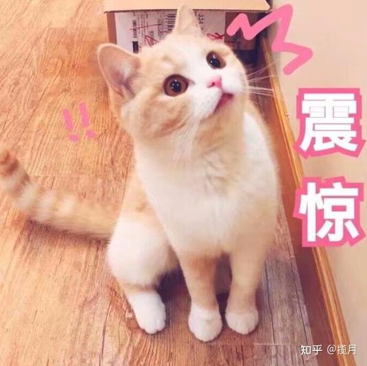  618用它买绝对不会有买贵的情况