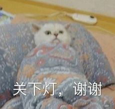  当你的辅导员掉进水里,你能为他做些什么学生回答写墓志铭