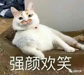  冷冷冷降温15下雨霜冻,河南低温将跌至个位数昨夜有地方还下了冰雹