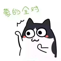  您期待的暑假已到达,请注意查收