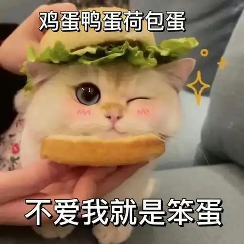  更新一下你的表情包吧7.09
