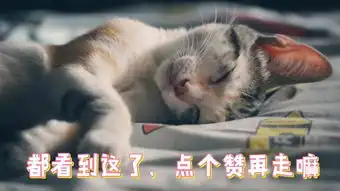  不买玩具就一哭二闹三打滚心理学家教的这招太管用了