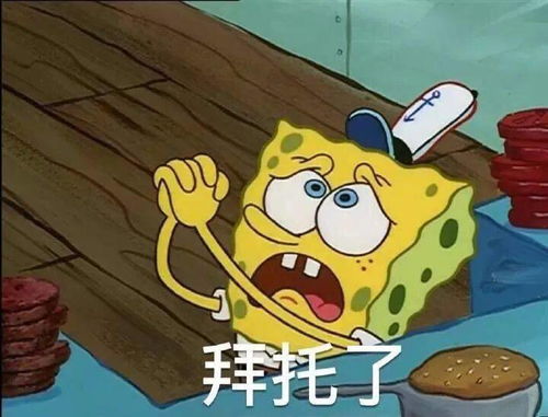  最希望深大食堂增设减脂餐汉堡糖水呼声也很高
