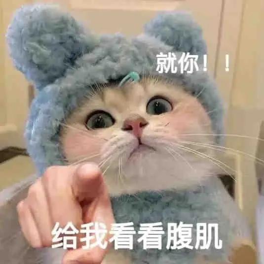  表情包就你,给我看看腹肌